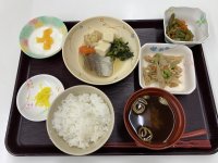 【今日の献立】ごはん・たらちり・ごぼうのそぼろ炒め・インゲンの辛し和え・赤だし・ヨーグルトフルーチェ