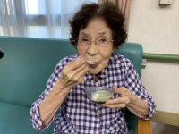 抹茶ミルク寒天