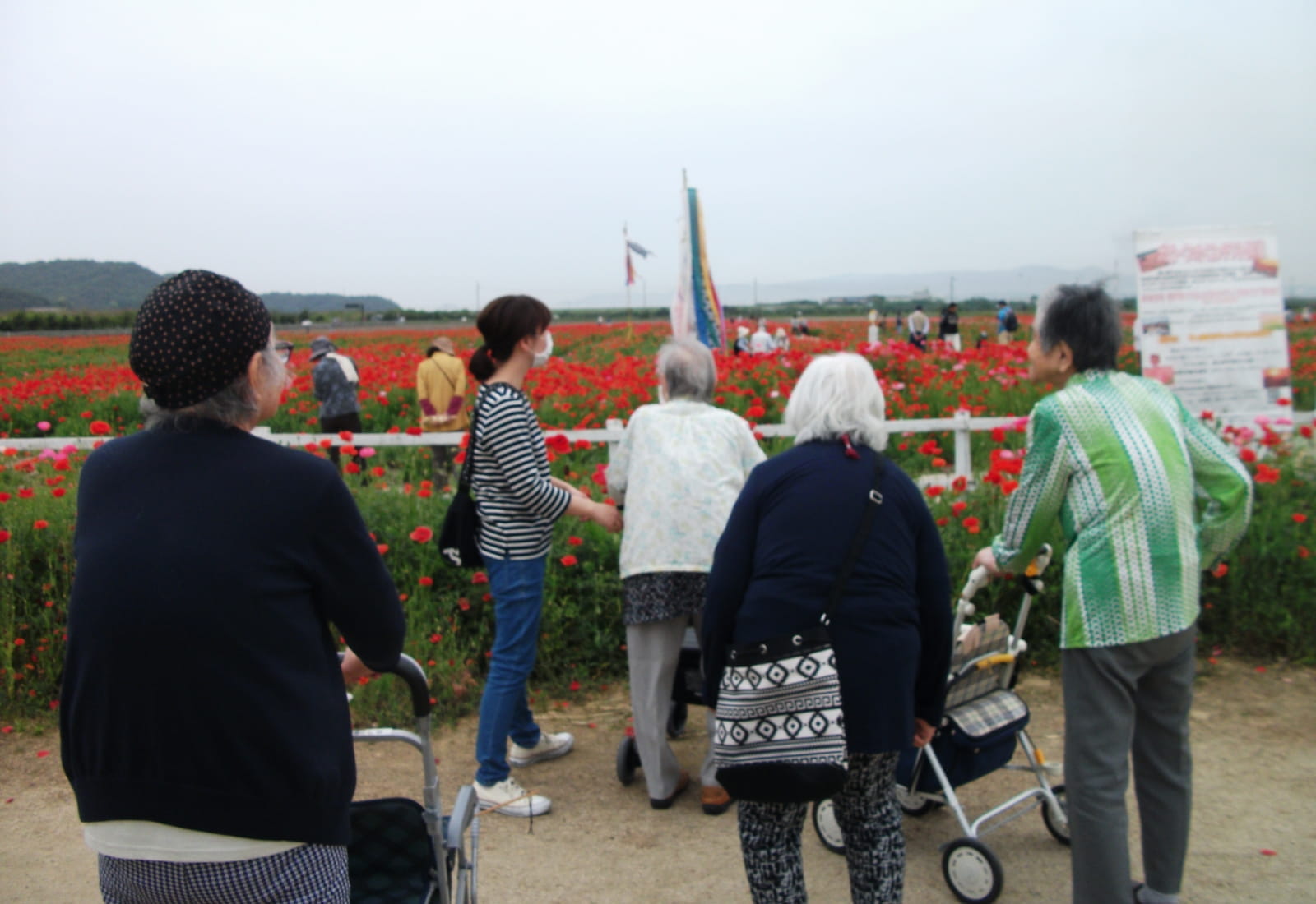 お花見ドライブ