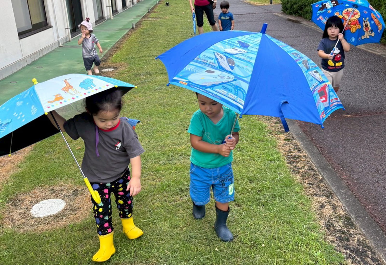 雨の日のお散歩