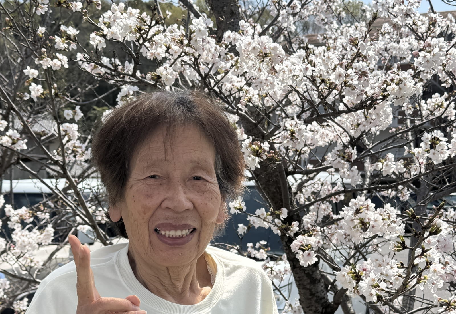 お花見（4月）